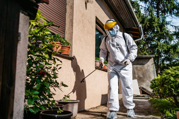 Best Emergency Pest Control  in Mullins, SC