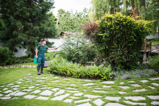 Best Affordable Exterminators  in Mullins, SC