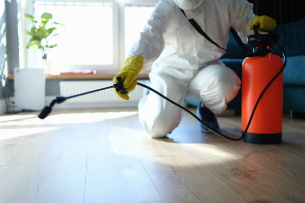 Best Local Pest Control Services  in Mullins, SC