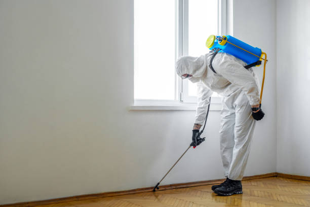 Best Pest Prevention Services  in Mullins, SC