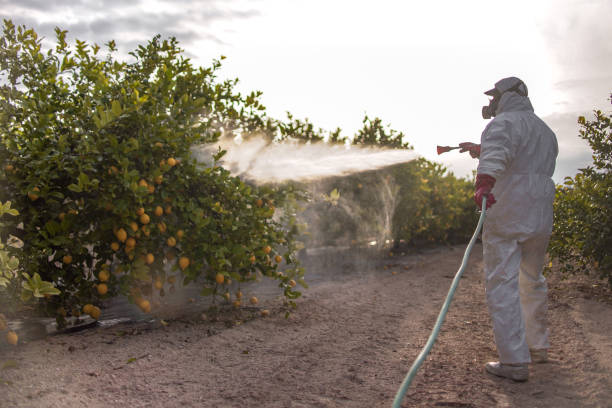 Best Affordable Pest Control Services  in Mullins, SC