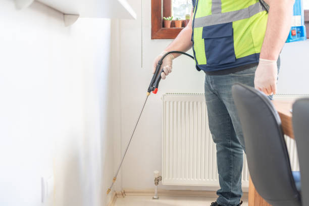Best Termite Control Services  in Mullins, SC