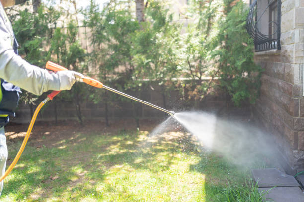 Best Pest Removal Services  in Mullins, SC