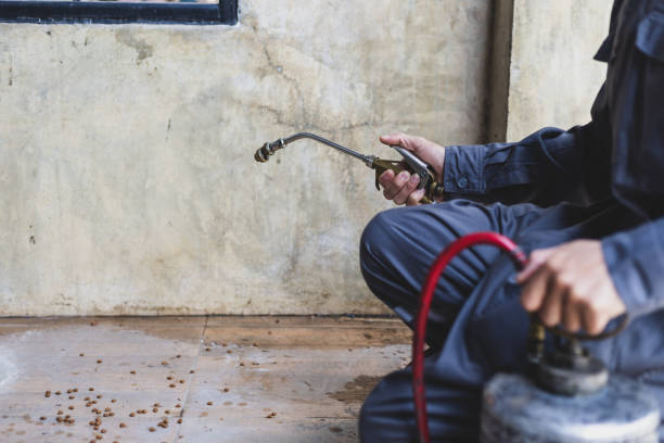 Best Mosquito Control Services  in Mullins, SC